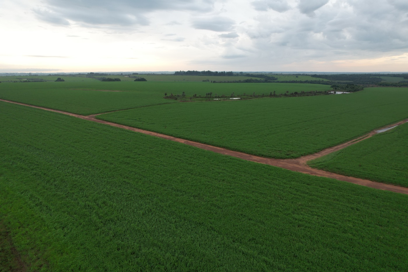 MAPEO DE CAMPOS