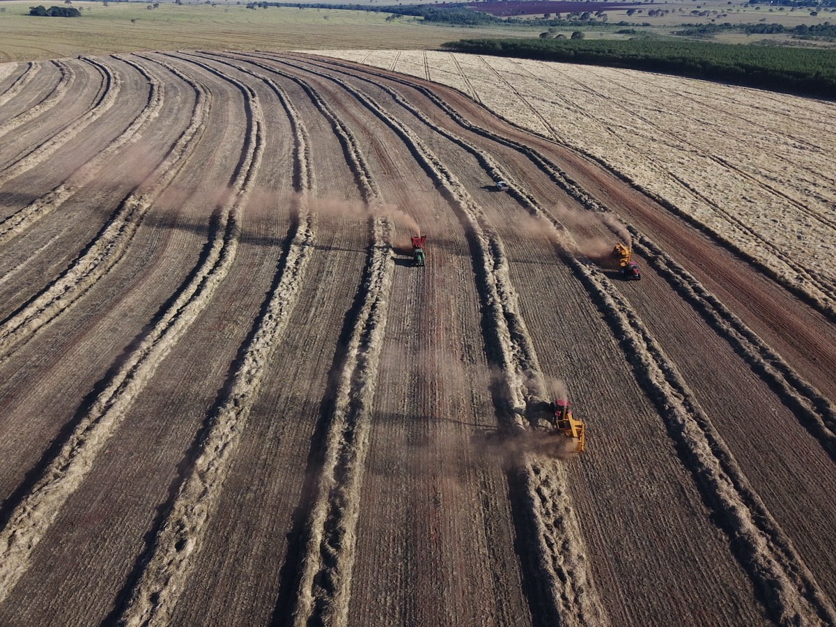 Vista aérea de un lote en preparación