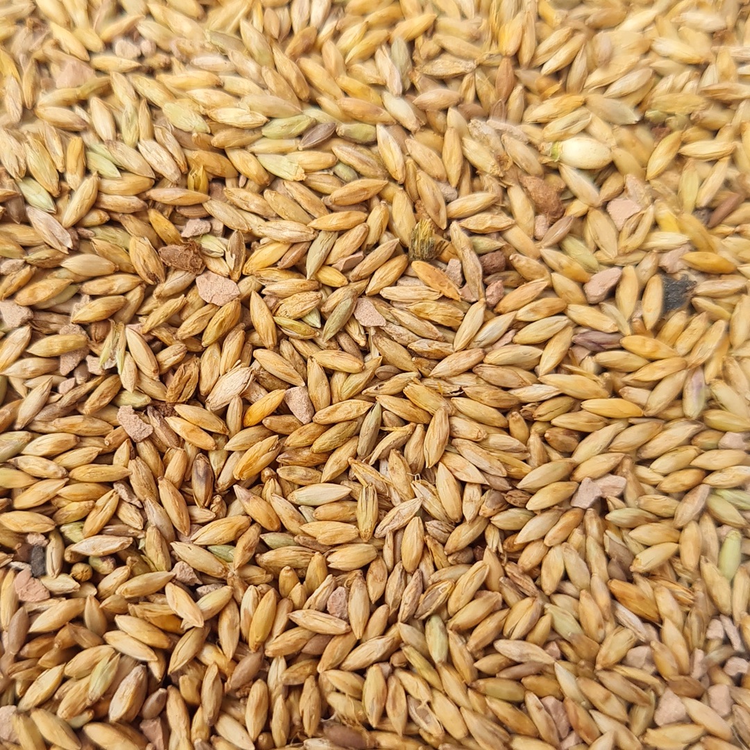 Semillas para producir mejor